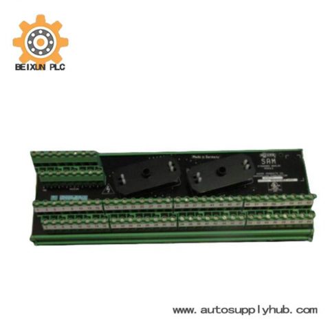 Moore 16169-1-07 SAM Standard Analog Module: Precision Control at Your Fingertips