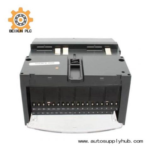 GE FANUC IC200CHS002 - High Performance Modular Controller