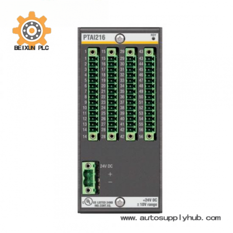 Bachmann PTAI216 Temperature Input Module - Precise Data Acquisition, Industry-grade Performance