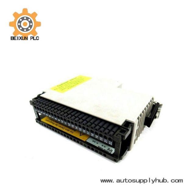 Schneider AS-BDAU-204 Analog Output Module, Schneider Electric, Control & Automation, PLC Modules